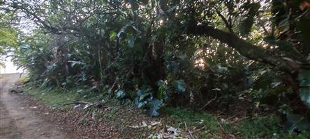 Vacant Level Land for Sale – Leisure Bay