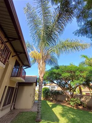 +-6m Queen Palm for sale. Self removal.