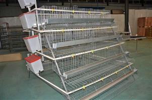 CHICKEN LAYER CAGES