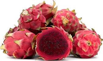 Red Dragonfruit Pitaya (Stenocereus)