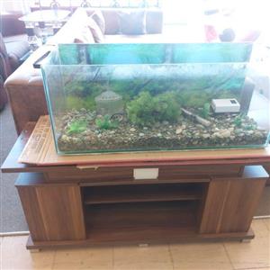 fish tank for sale Junk Mail