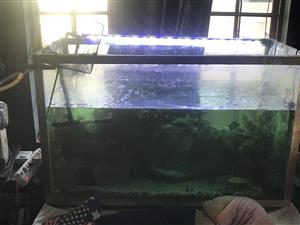 Fish tank for sale with stainless steel frame 