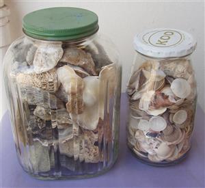 Sea Shells and stones - 2 bottles 