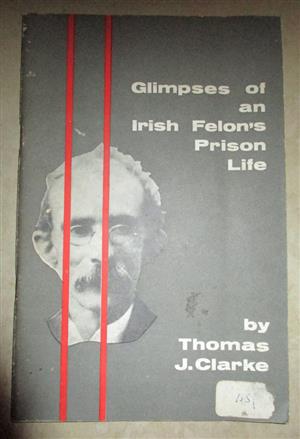 Glimpses of an Irish Felon's Prison Life    