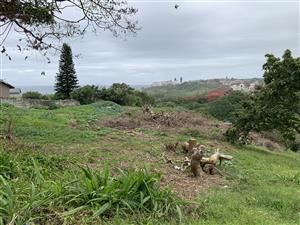 Land with distant sea views