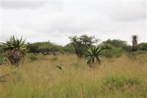 23-hectare vacant land is the last of its kind in a sought-after location