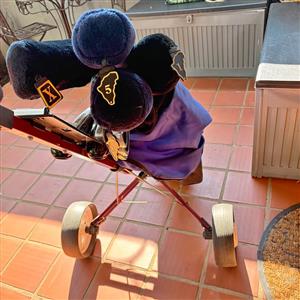 Golf clubs and push cart