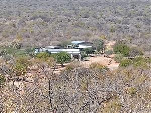 SECLUDED LUXURY GAME FARM FOR SALE IN MOPANE, LIMPOPO PROVINCE.