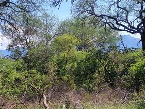 Exceptional Double Stand in Prime Riversdale Farm Location