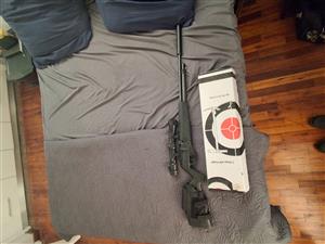 Nova vista pcp 1000 air rifle