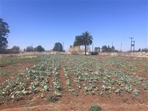 Land on farm for Rent for any Business
