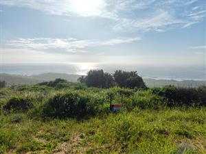 Seaton Estate: Exclusive Coastal Living on the KZN North Coast