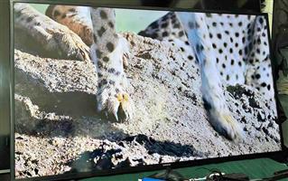 Samsung smart TVs for sale in Parow screen size 48 and 49