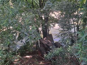 RISIVILLE RARE FIND: 9-HECTARE AGRI-BUSINESS OPPORTUNITY FOR SALE AT R5 MILLION!