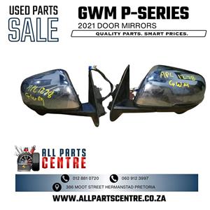 GWM P-Series 2021 door mirrors 