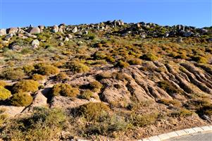 438m² Plot for sale for only R599 000-00 in Kapteinskloof, St Helena Bay