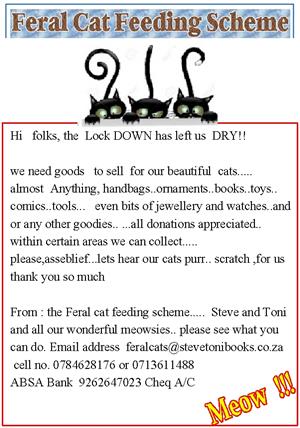 Our Feral Cats  need your help 