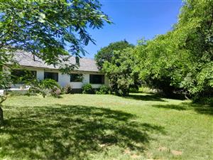 9900m² Opportunity with Two Cottages and Pool