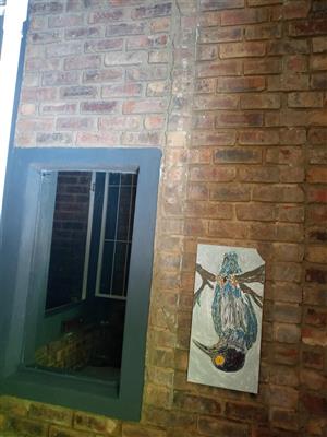Bachelor apartments for rent in The Reeds