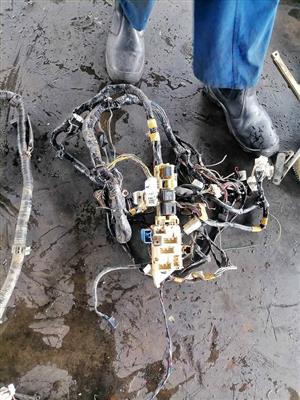 Toyota corolla RSI shape Interior wiring