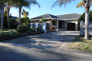 Family Comfort in Dorchester Heights