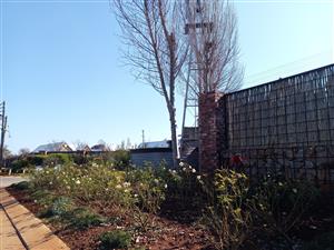 Vacant land in exclusive estate