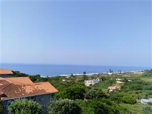 Excellent investment property