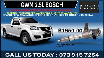 GWM 2.5L Diesel Injectors 