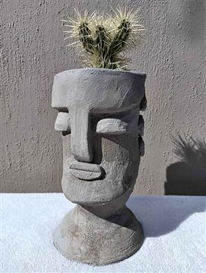 Cactus, in a head planter pot