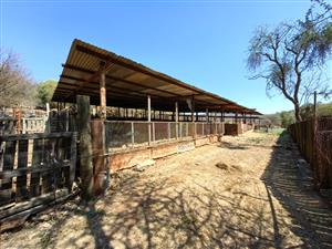 Groot Marico - Excellent farm -Water, water and more water!