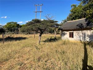 46 Ha of Bushveld Farm for Sale in Vaalwater