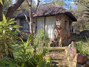 Cottage to rent in Blyde River Botanical Reserve