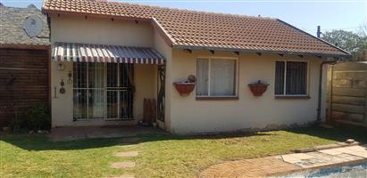 Great Potential, Needs Some TLC!