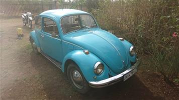 1972 Volkswagen beetle 