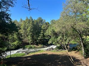 Farm For Sale in Tzaneen Rural