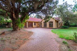 Opportunity of a life time! large corner stand! Prime location in Larrendale.