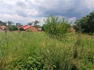 STAND FOR SALE IN LYTTELTON MANOR