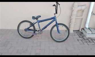 Custom Build BMX bike
