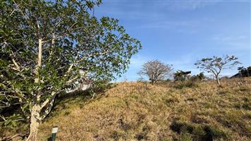 Vacant Land Residential For Sale in Palm Lakes Estates
