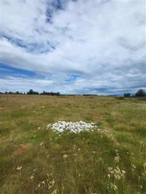 2ha fertile soil for rent good for rotating crops 