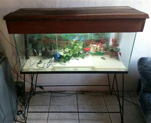 Complete tank with stand