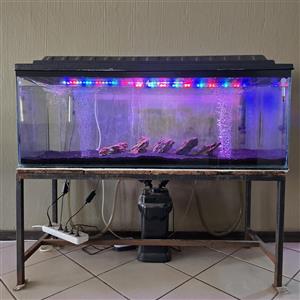 1.2 m fish tank and accessories for sale
