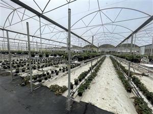 Multispace Greenhouse