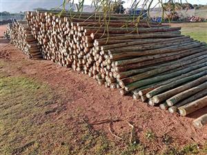 3.6m CCA Treated Gum Poles – Perfect for Fencing & Construction not machined 