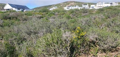 Dreaming of owning an investment property or a holiday/retirement haven on the West Coast?