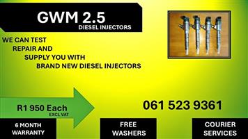 DIESEL INJECTORS FOR GWM 2,5. FAST DELIVERY AND GUARANTEED