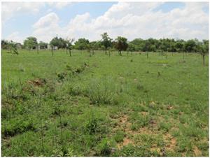 Vacant Land Residential For Sale in Chartwell