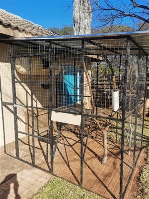 Newly build aviary for sale - Money enclosure