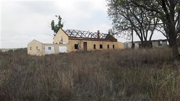 293 Ha Grazing Farm close to Newcastle