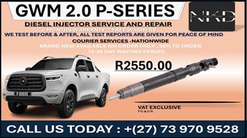 GWM 2.0L P-Series Diesel Injectors 